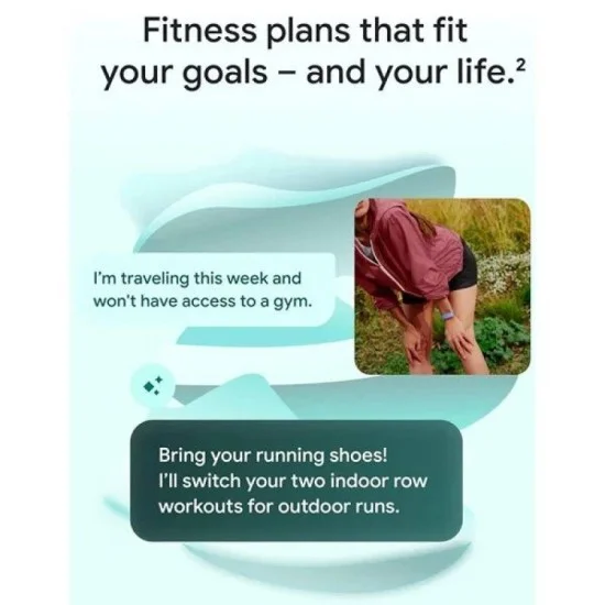 Google Fitbit Air Smart Screenless Fitness Tracker - Fog
